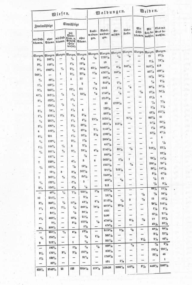 Schopflocher Skizzen Tabelle 2