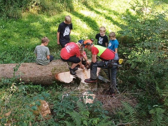 Kinder im Wald beim Baumstammsägen