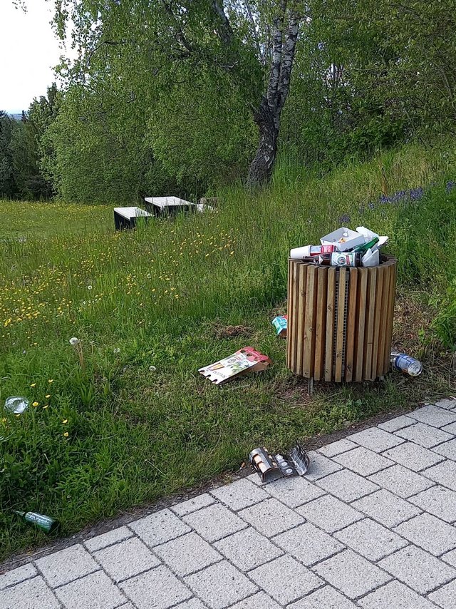 Müllablagerung am Rödelsberg - Bild wird mit einem klick vergrößert