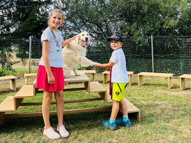 Kinder beim Kunstücke üben mit einem der Hunde