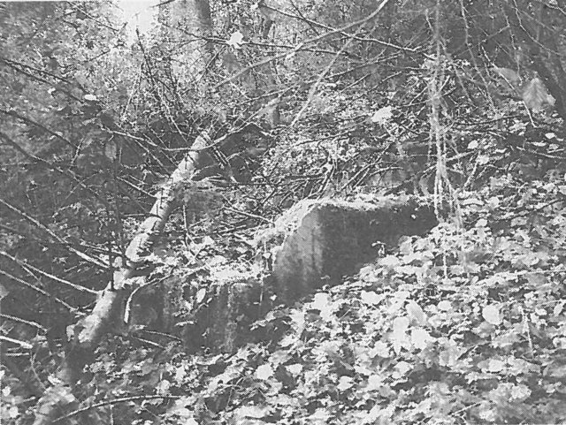 Schopflocher Skizzen Überreste der Grundmauern des Wasserhäusles im unteren Bürgental